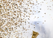 开云官方app入口-包含夺冠热门球队揭秘：实力强劲备战中的词条