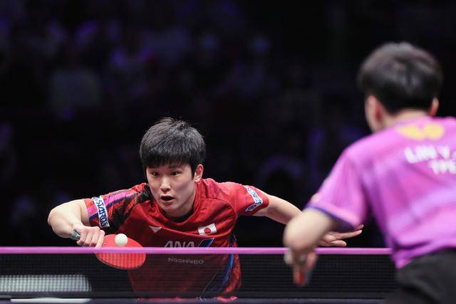 包含法国乒乓球队横扫瑞典乒乓球队,张本智和高光表现的词条 包含法国乒乓球队横扫瑞典乒乓球队,张本智和高光表现的词条