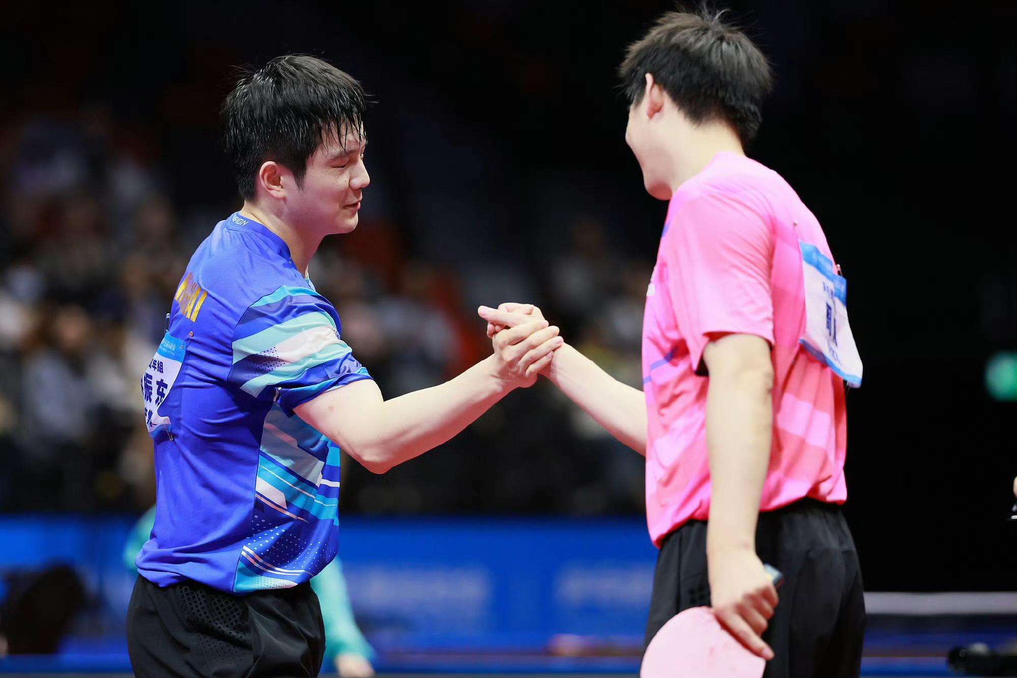 奥地利乒乓球队绝杀日本乒乓球队,樊振东惊艳世界的简单介绍 奥地利乒乓球队绝杀日本乒乓球队,樊振东惊艳世界的简单介绍