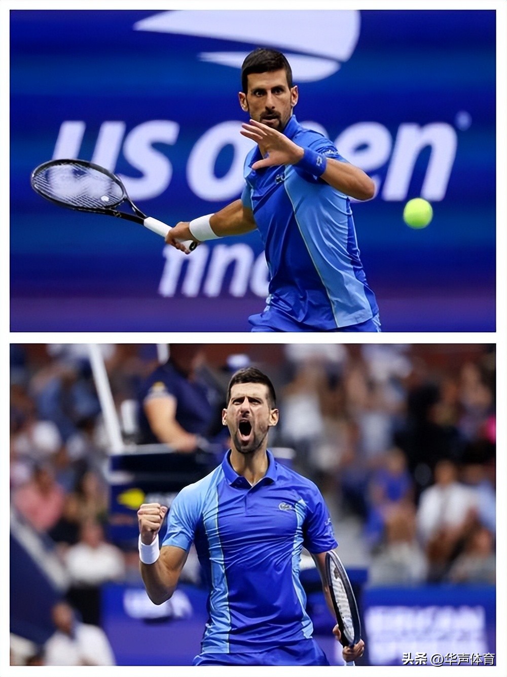 美网碾压戴维斯杯,德约科维奇扛起全队的简单介绍 美网碾压戴维斯杯,德约科维奇扛起全队的简单介绍