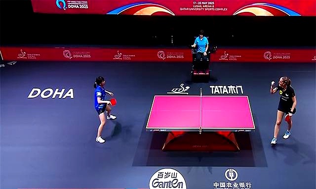 德国队碾压中国队，马琳高光表现的简单介绍