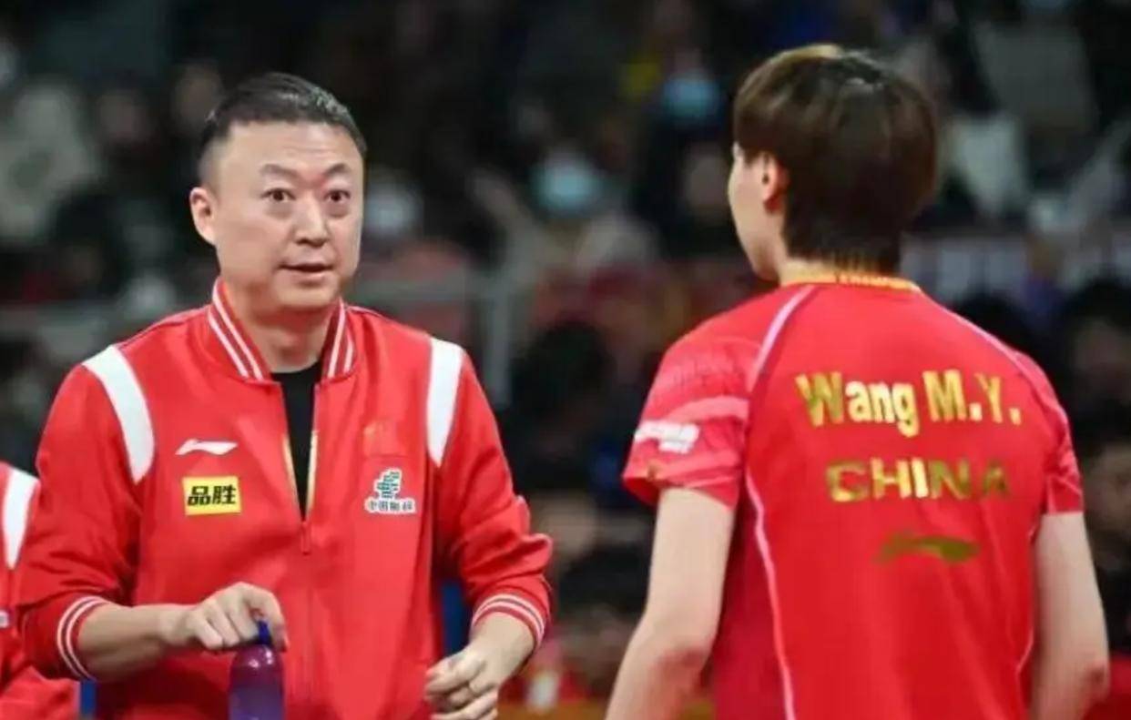 德国队碾压中国队，马琳高光表现的简单介绍